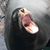 Simon Tassano's profile image