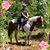DanCrystal O'Hanlon's profile image
