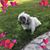 Betty Street's profile image