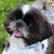 Kathy Bue's profile image