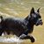 Ilan Sasson's profile image