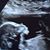 Beth Reinhard-Sudia's profile image