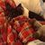 Shirley Ray's profile image