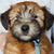 Lynn Chapin's profile image