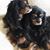 Linda Pavel Blumenhagen's profile image