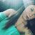 Alyssa Ingley's profile image