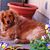 Dawn Daryle Hertel-Dembiec's profile image