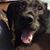 Kristen Gately Erickson's profile image