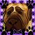 Louise Ulrich's profile image