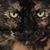 Barbara Rogers's profile image