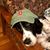 Kathy Vagle's profile image