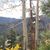 Susan Sisson's profile image