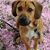Amy Chesin's profile image