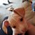 Heather Rivers's profile image