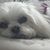Terri Trowbridge's profile image