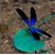 Michelle Marie's profile image