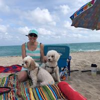 Amy Eckert Corcoran's profile image