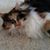 Lynne McCoy Carmichael's profile image