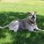 Becky Spagnolo's profile image