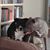 Cheryl Morris's profile image