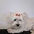 Sandy Weinkauf Grabowski's profile image