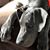 Amy Roudabaugh's profile image