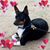 Suzanne Sherick's profile image