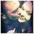 Jamie Warner-Worrall's profile image