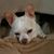 Mandy Williams's profile image
