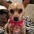 Brandie VanArsdale's profile image
