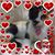 Patricia Bennett Barber's profile image