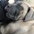Michael Burda's profile image