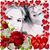 Tambra Landreth Halstead's profile image