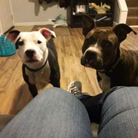 Michelle Price's profile image