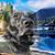 Kelly Chesmore Gajewski's profile image