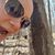 Sara Green's profile image