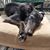 Teresa Schissler-Vitz's profile image