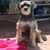 Deborah Shapiro's profile image