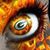 Welty-Dozler Chris's profile image