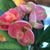 Wendy Whitney Nickel's profile image