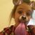 Madison Wright's profile image
