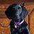 Erin Dodd's profile image