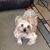 Phyllis Leslie McDaniel's profile image