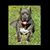Jay Zig's profile image