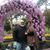 Kristin DeFulgentis's profile image