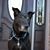 Lisa Manderino Sheridan's profile image