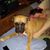 Denise Deak Cleary's profile image