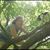 Amanda Demure Peters's profile image