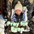 Tena Pearson's profile image