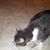 Cecile Rock's profile image